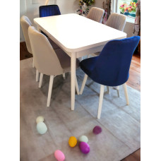 1 MASA 6 SANDALYELİ TAKIM